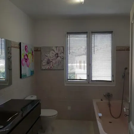Davia Apartment Corte (Corsica)
