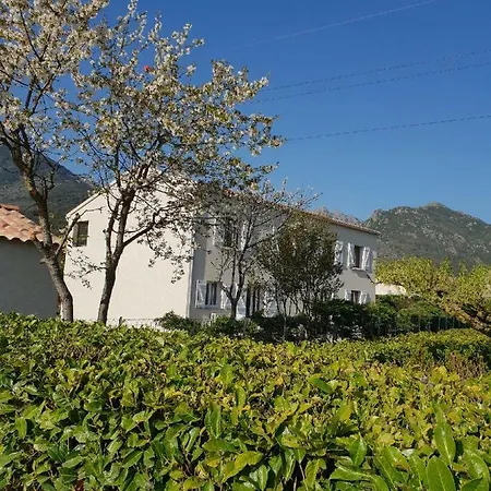 Davia Appartamento Corte (Corsica)